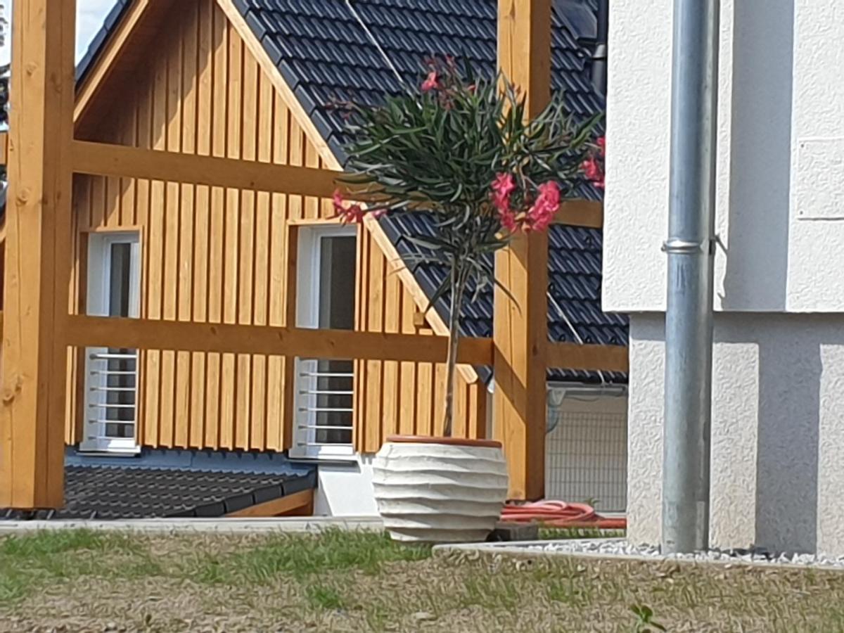 Lipno Holiday home *